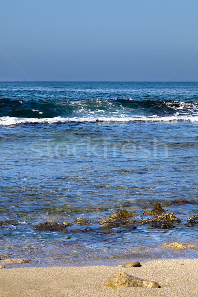 Strand Welle Ansicht groß Wasseroberfläche Natur Stock foto © eldadcarin