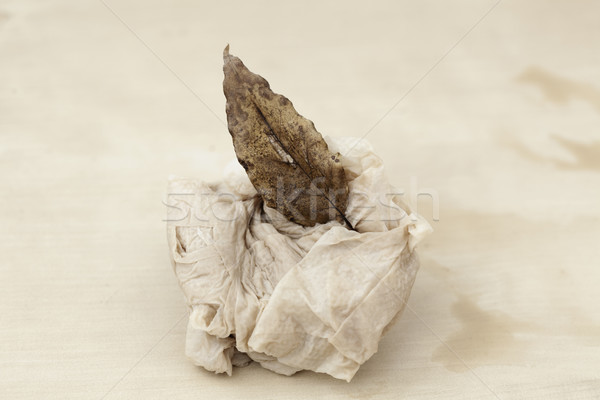 Toilet, Leaf, Zen Stock photo © eldadcarin