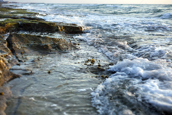 Algae Covered Beach Rocks Stock photo © eldadcarin