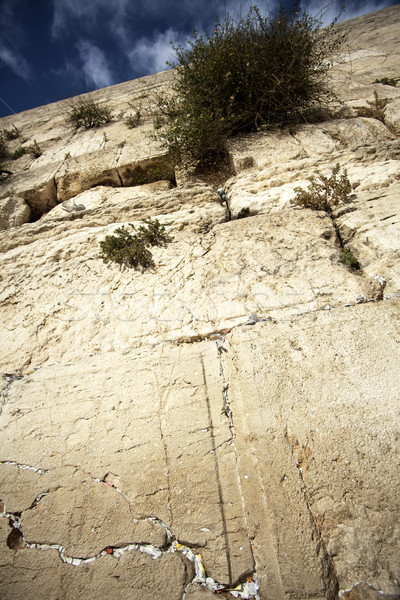 Poczty ściany starych miasta Jerozolima Zdjęcia stock © eldadcarin