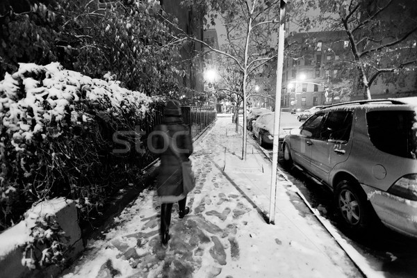 Egyedüli nő sétál hó fedett járda Stock fotó © eldadcarin
