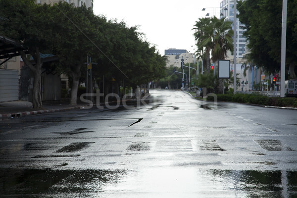 Empty Wet Winter Street Stock photo © eldadcarin