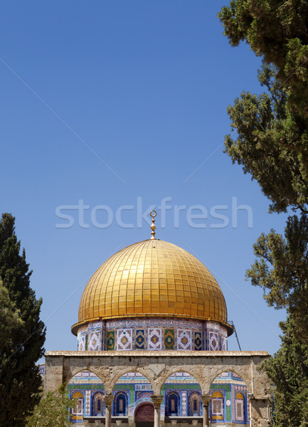 Dome of the Rock Among Trees Stock photo © eldadcarin