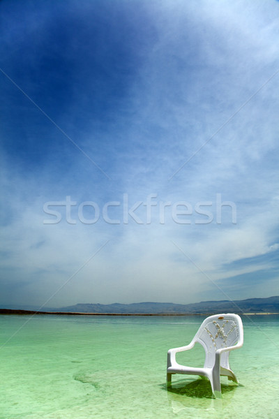 Gemakkelijk stoel dode zee zout gedekt Stockfoto © eldadcarin