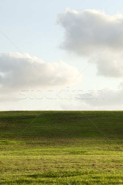 Sunlight on Grass Hill Stock photo © eldadcarin