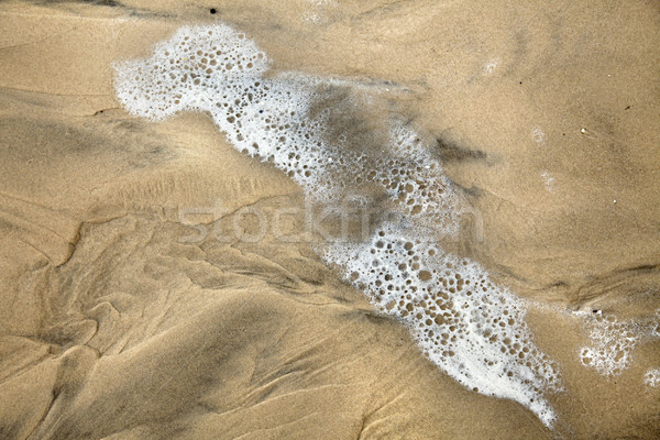 Drying Surf on Wet Sand Stock photo © eldadcarin