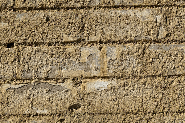Rugged Brick Wall - Close Up Stock photo © eldadcarin