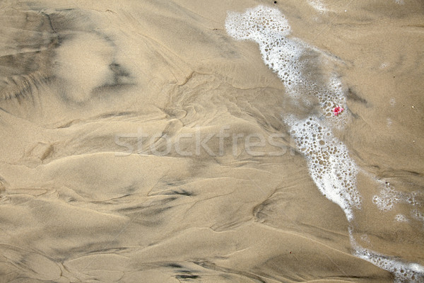 Drying Surf on Wet Sand Stock photo © eldadcarin