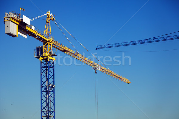 Tower Cranes Stock photo © eldadcarin