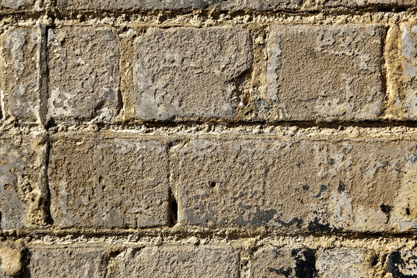 Rugged Brick Wall - Close Up Stock photo © eldadcarin