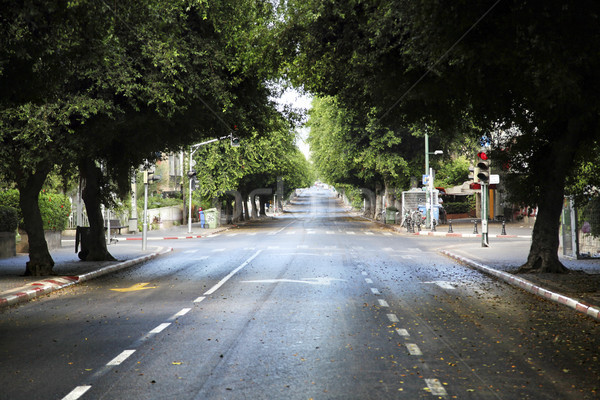 Empty Tel-Aviv Street Stock photo © eldadcarin