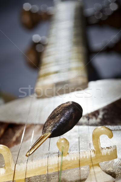 Teer brug macro musical string Stockfoto © eldadcarin