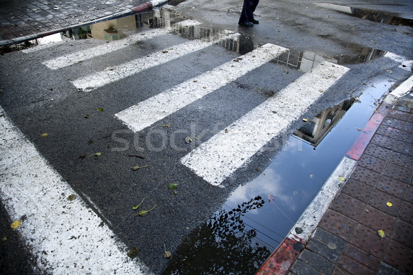 Feet & Winter Crosswalk Stock photo © eldadcarin