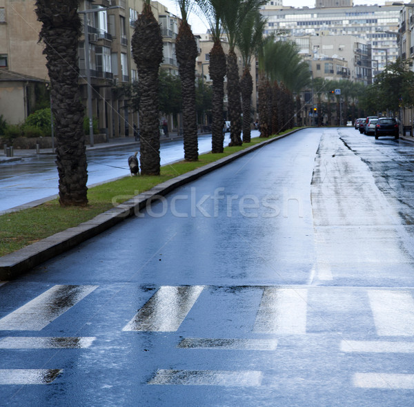 Empty Wet Winter Street Stock photo © eldadcarin