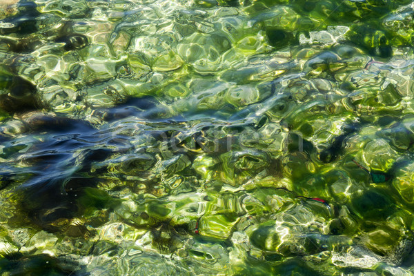 şeffaf yeşil deniz soyut su güneş Stok fotoğraf © eldadcarin