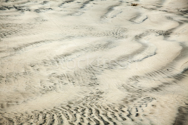 Mokro piasku streszczenie plaży burzliwy zimą Zdjęcia stock © eldadcarin