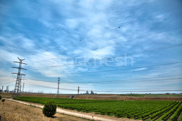 Power Lines, field & Phosphate Quarry Stock photo © eldadcarin