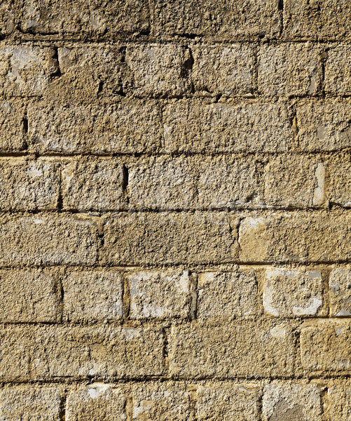 Robust Backsteinmauer bedeckt rau Textur Stock foto © eldadcarin
