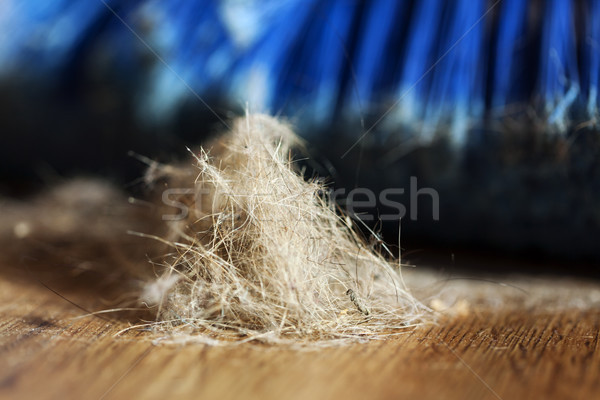Broom, Dust & Fur Ball on Parquet Floor Stock photo © eldadcarin