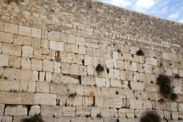 The Wailing Wall Stock photo © eldadcarin