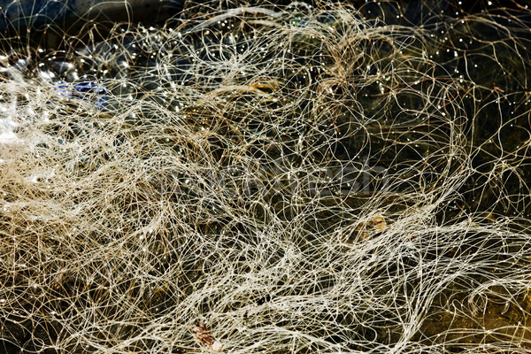 Fishing net in Still Water Stock photo © eldadcarin