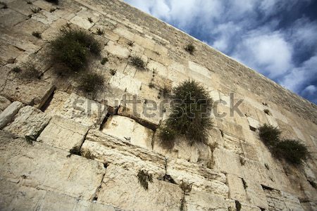 Praying at the Wailing Wall Stock photo © eldadcarin