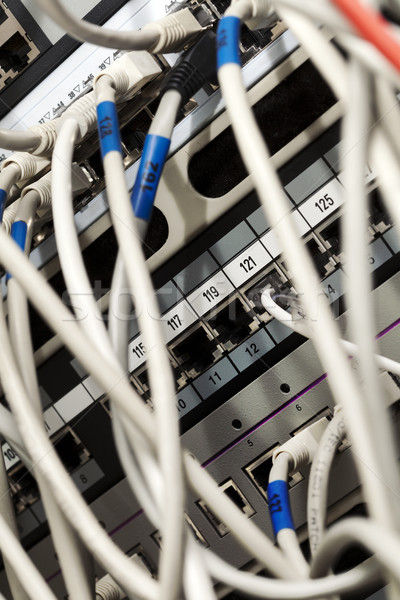 Reţea cabluri serverul macro Imagine de stoc © eldadcarin
