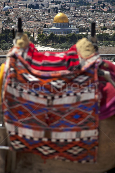 Deve kubbe kaya görmek nokta zeytin Stok fotoğraf © eldadcarin