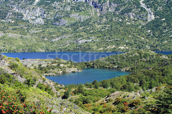 Small Lake in Patagonia Stock photo © eldadcarin