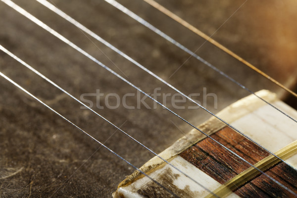 Tar Strings Macro Stock photo © eldadcarin