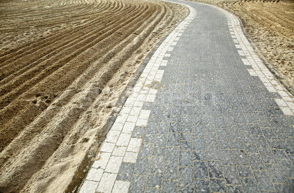 Footpath on the Beach Stock photo © eldadcarin