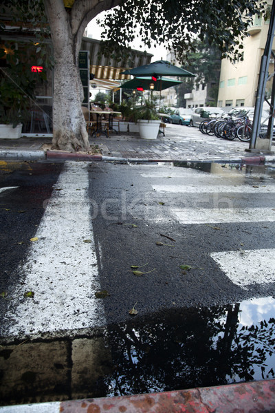 Iarnă pavaj stradă timp Imagine de stoc © eldadcarin