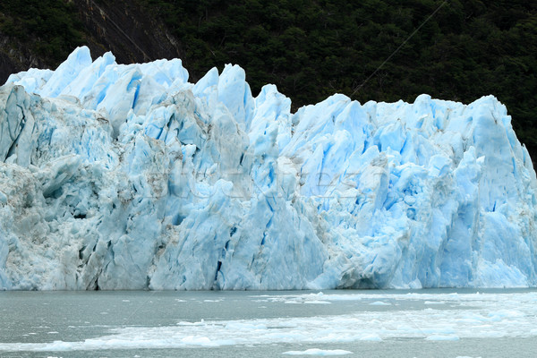Gletscher Südamerika Wasser Baum Natur Meer Stock foto © eldadcarin