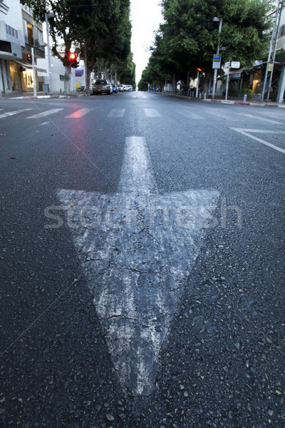 Street Arrow & Crosswalk Stock photo © eldadcarin