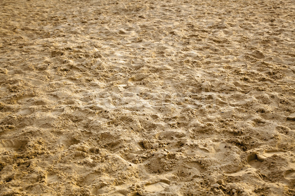 Damp Sand Stock photo © eldadcarin