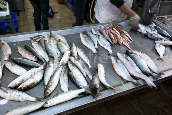 Marketing peixe mercado mãos nylon saco Foto stock © eldadcarin