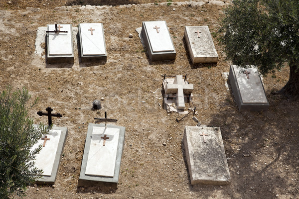 Olijven christelijke begraafplaats voet Jeruzalem Israël Stockfoto © eldadcarin