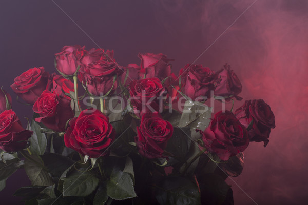 red roses on a red smoky background Stock photo © Elegies