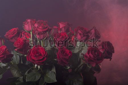 Vörös rózsák neon piros füstös virágcsokor kék Stock fotó © Elegies