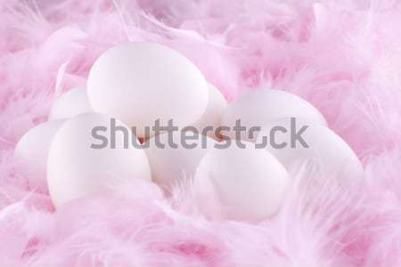 white eggs in the soft, gentle light on a lining Stock photo © Elegies