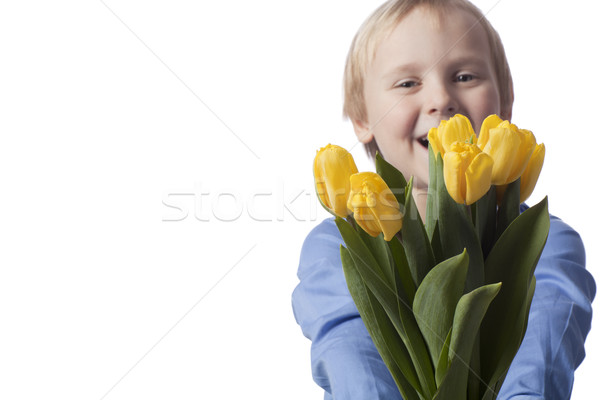 out of focus boy presents yellow tulips Stock photo © Elegies