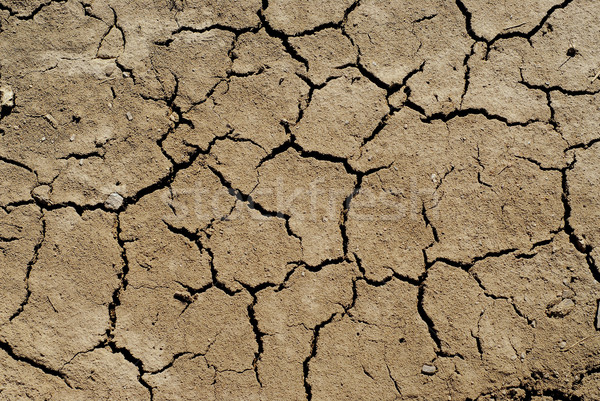 Dry soil background Stock photo © elenaphoto