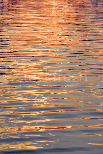 Víztükör arany kék víz arany naplemente Stock fotó © elenaphoto