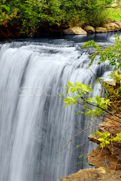 Waterfall Stock photo © elenaphoto