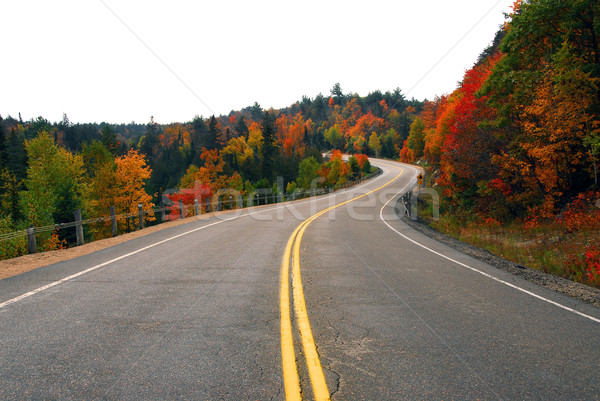 Fall highway Stock photo © elenaphoto