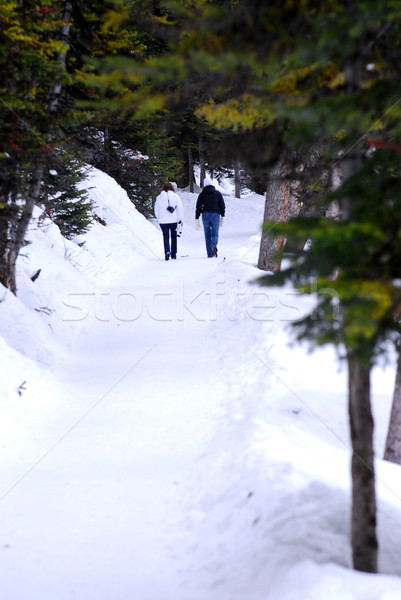 Snowy path Stock photo © elenaphoto