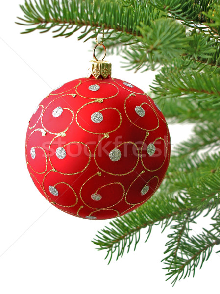 Piros karácsony labda faág izolált fehér Stock fotó © elenaphoto