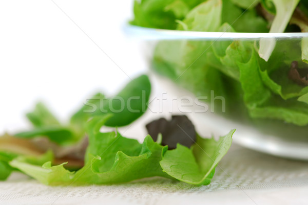 Stockfoto: Baby · vers · salade