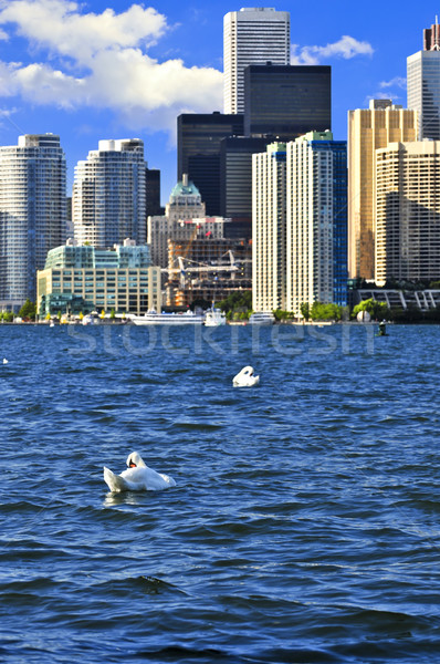 Stockfoto: Toronto · witte · stad · gebouwen · stedelijke