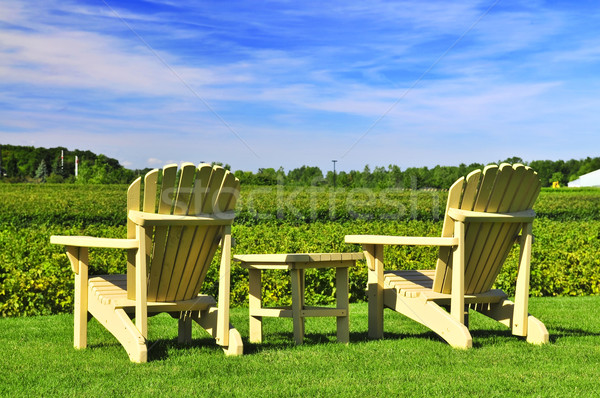 Chairs overlooking vineyard Stock photo © elenaphoto
